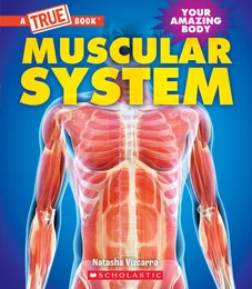 Muscular System (A True Book: Your Amazing Body)