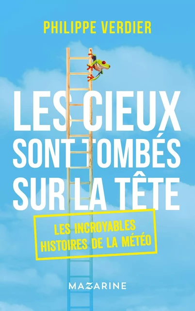 Les cieux sont tombés sur la tête - Philippe Verdier - Fayard/Mazarine