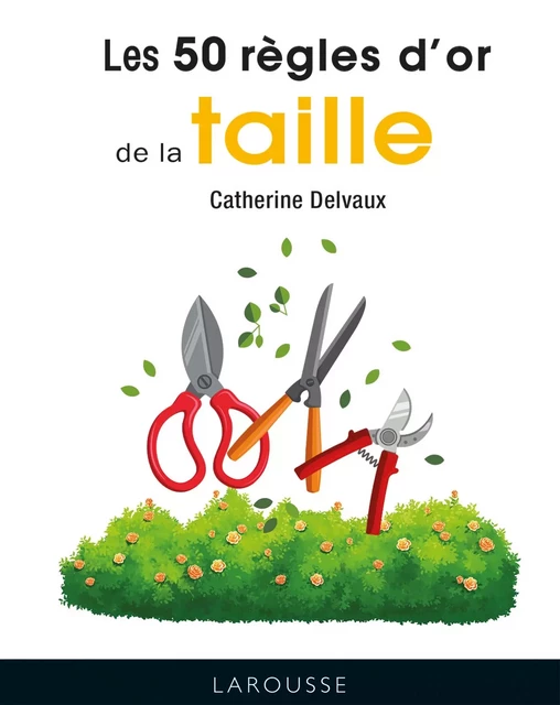 50 règles d'or de la taille - Catherine Delvaux - Larousse