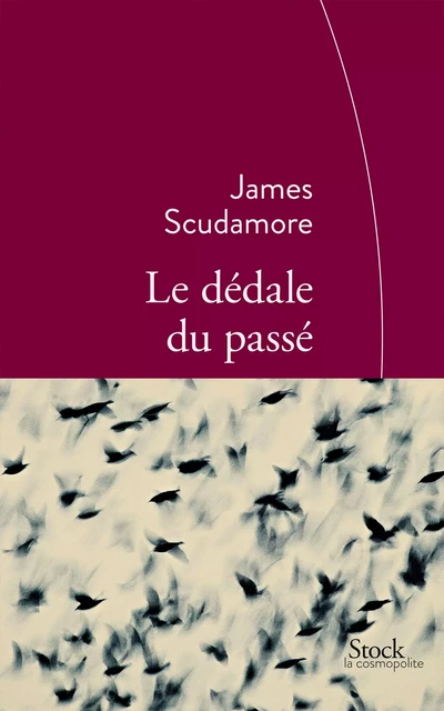 Le dédale du passé - James Scudamore - Stock