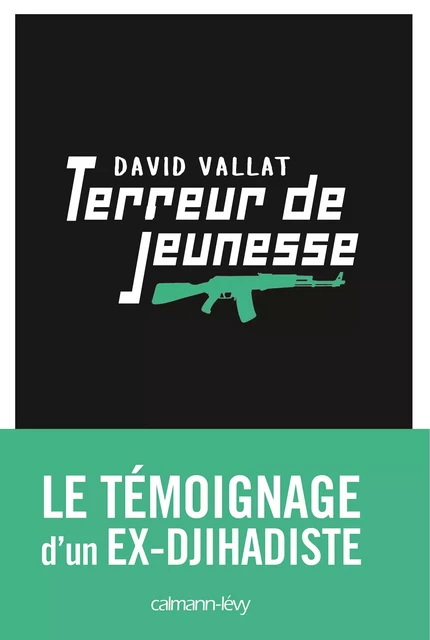 Terreur de jeunesse - David Vallat - Calmann-Lévy