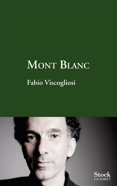 Mont Blanc - Fabio Viscogliosi - Stock