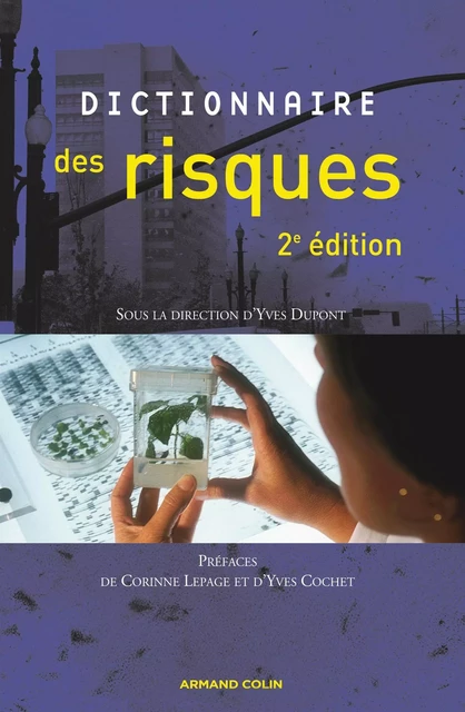 Dictionnaire des risques - Yves Dupont - Armand Colin