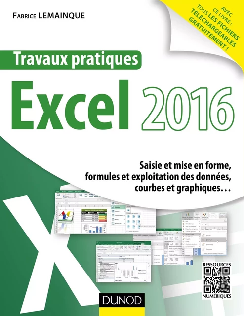 Travaux pratiques avec Excel 2016 - Fabrice Lemainque - Dunod