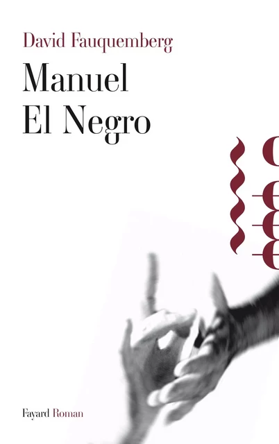 Manuel El Negro - David Fauquemberg - Fayard