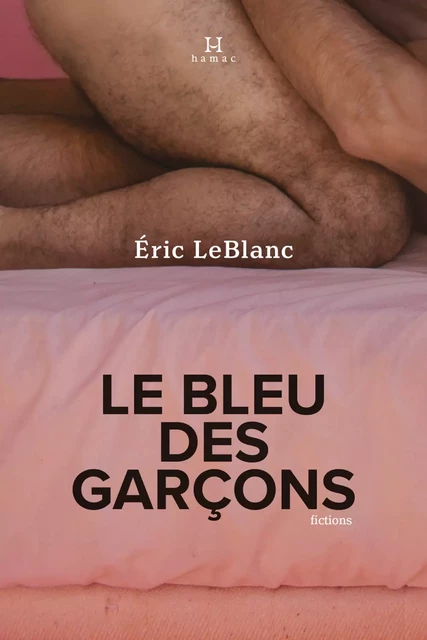 Le bleu des garçons - Éric LeBlanc - Productions Somme Toute