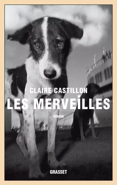 Les merveilles - Claire Castillon - Grasset