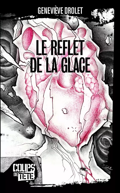 Le reflet de la glace - Geneviève Drolet - Productions Somme Toute