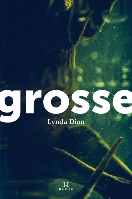 Grosse - Lynda Dion - Productions Somme Toute