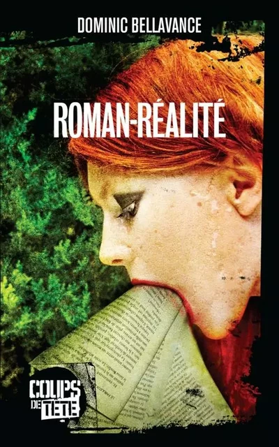 Roman-réalité - Dominic Bellavance - Productions Somme Toute