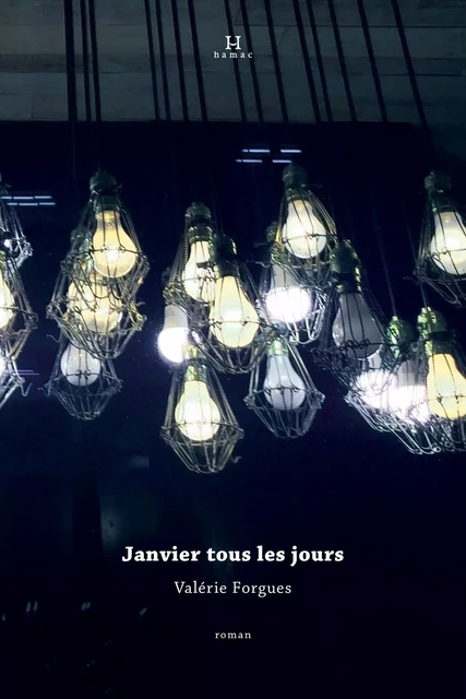 Janvier tous les jours - Valérie Forgues - Productions Somme Toute