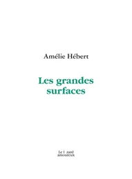 Les grandes surfaces