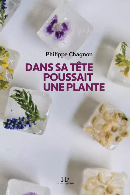 Dans sa tête poussait une plante - Philippe Chagnon - Productions Somme Toute