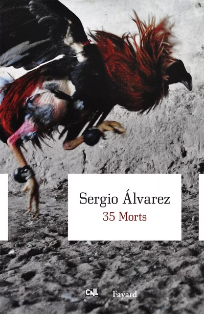 35 Morts - Sergio Alvarez - Fayard