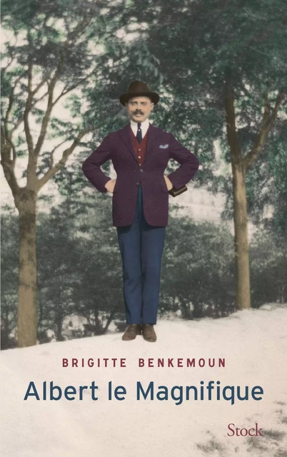 Albert le Magnifique - Brigitte Benkemoun - Stock