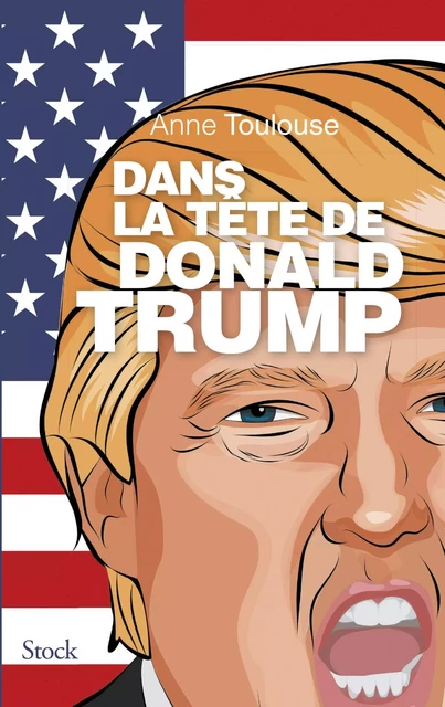 Dans la tête de Donald Trump - Anne Toulouse - Stock