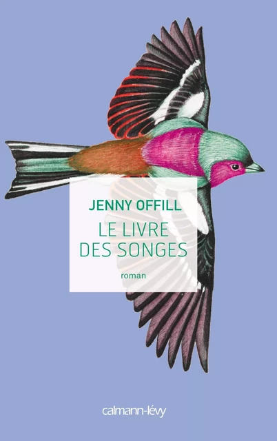 Le Livre des songes - Jenny Offill - Calmann-Lévy