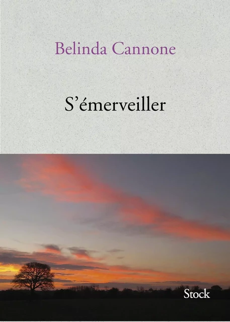 S'émerveiller - Belinda Cannone - Stock