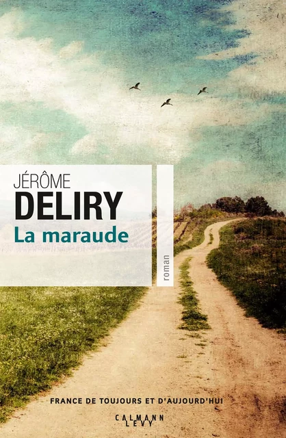 La Maraude - Jérôme Deliry - Calmann-Lévy