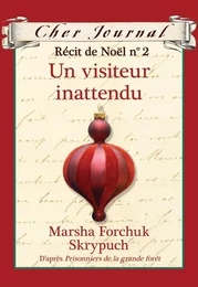 Cher Journal : Récit de Noël : N° 2 - Un visiteur inattendu