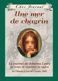 Cher Journal : Une mer de chagrin