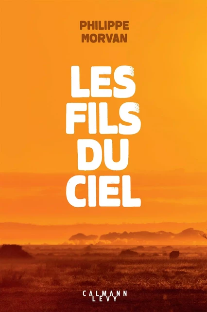 Les fils du ciel - Philippe Morvan - Calmann-Lévy