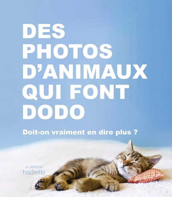 Des photos d'animaux qui font dodo -  Collectif - Hachette Pratique