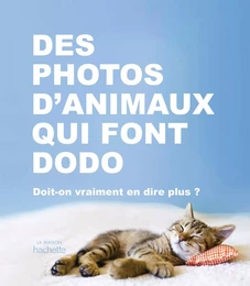 Des photos d'animaux qui font dodo