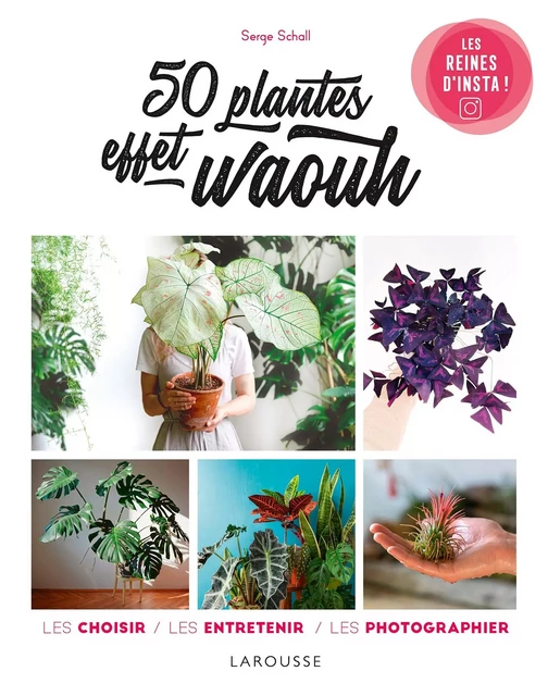 50 plantes effet waouh - Serge Schall - Larousse