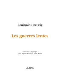 Les guerres lentes