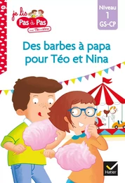 Téo et Nina GS-CP niveau 1 - Des barbes à papa pour Téo et Nina