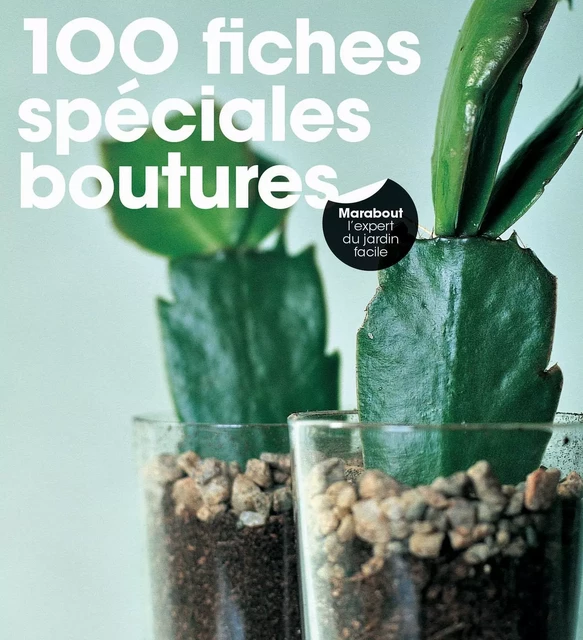 100 fiches spéciales boutures - Andrew Mikolajski - Marabout