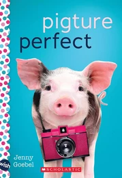 Pigture Perfect: A Wish Novel