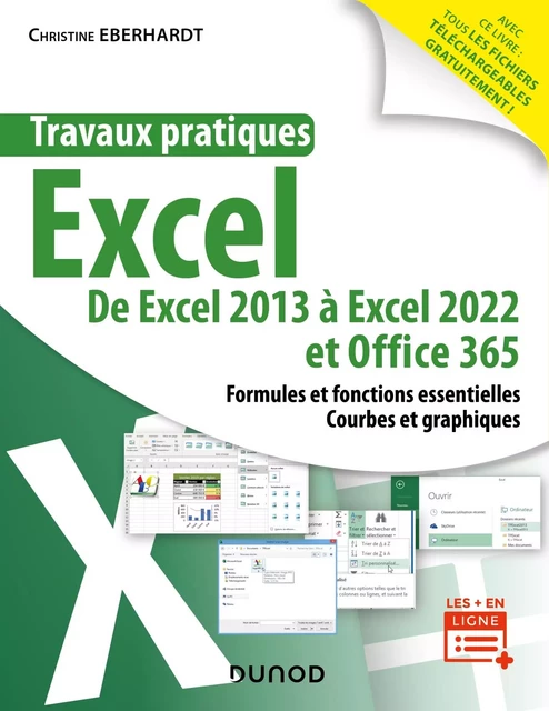 Travaux pratiques - Excel - Christine Eberhardt - Dunod