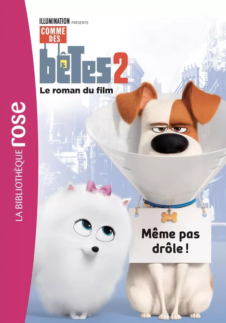 Comme des bêtes 2 - Le roman du film -  Universal Studios - Hachette Jeunesse