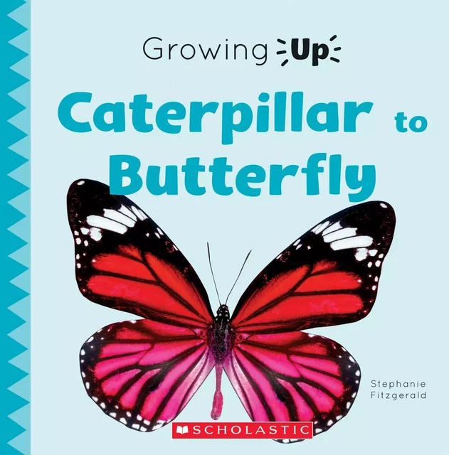 Caterpillar to Butterfly (Growing Up) - Stephanie Fitzgerald - Scholastic Inc.