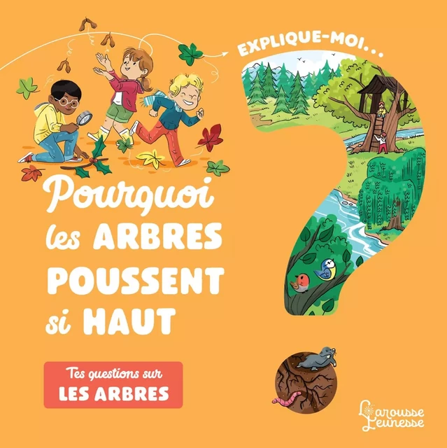 Explique-moi Les arbres - Emmanuelle Kecir-Lepetit - Larousse