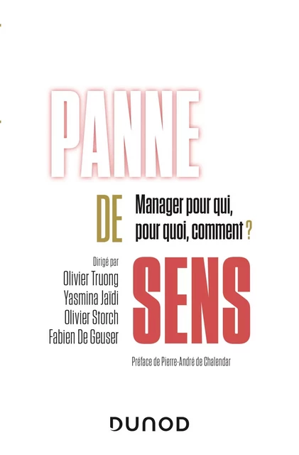 Panne de sens - Olivier Truong, Olivier Storch, Yasmina Jaïdi, Fabien De Geuser - Dunod