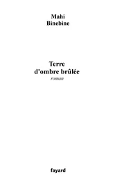 Terre d'ombre brûlée