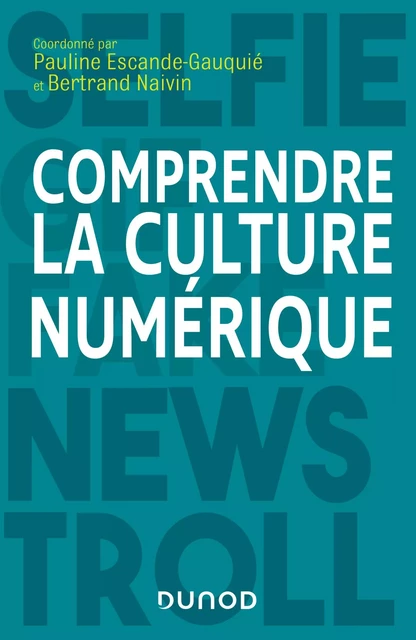 Comprendre la culture numérique - Pauline Escande-Gauquié, Bertrand Naivin - Dunod