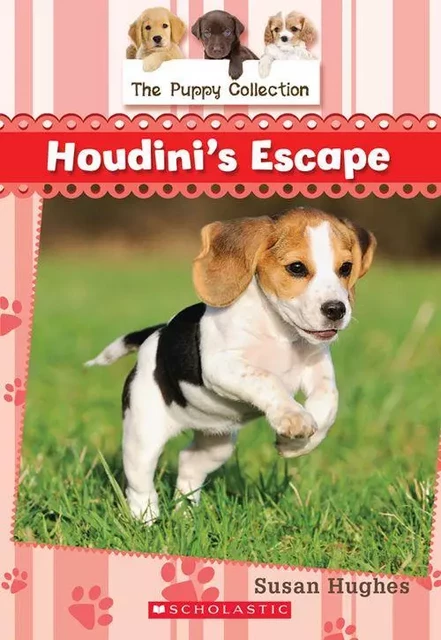 The Puppy Collection #7: Houdini's Escape - Susan Hughes - Scholastic Canada Ltd