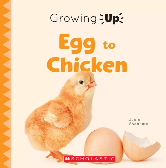 Egg to Chicken (Growing Up) - Jodie Shepherd - Scholastic Inc.