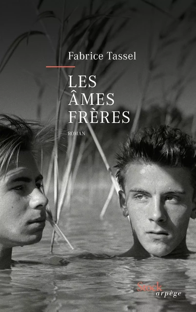 Les âmes frères - Fabrice Tassel - Stock