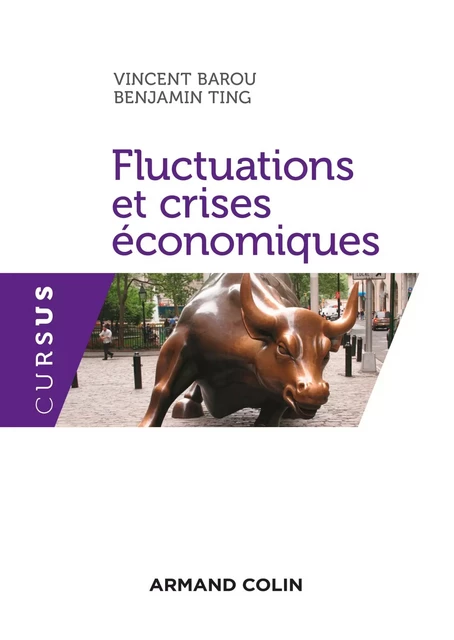 Fluctuations et crises économiques - Vincent Barou, Benjamin Ting - Armand Colin