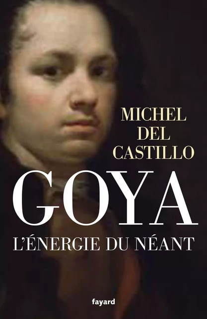 Goya - Michel Del Castillo - Fayard