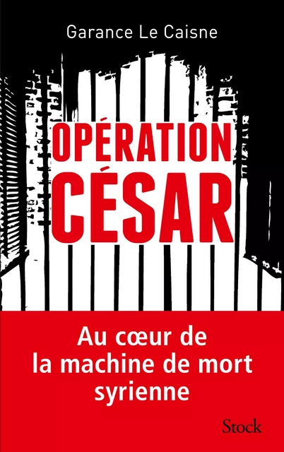 Opération César - Garance Le Caisne - Stock