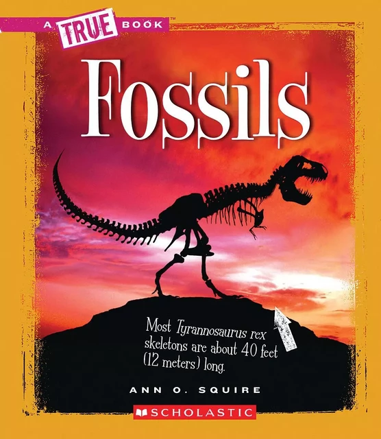 Fossils (A True Book: Earth Science) - Ann O. Squire - Scholastic Inc.