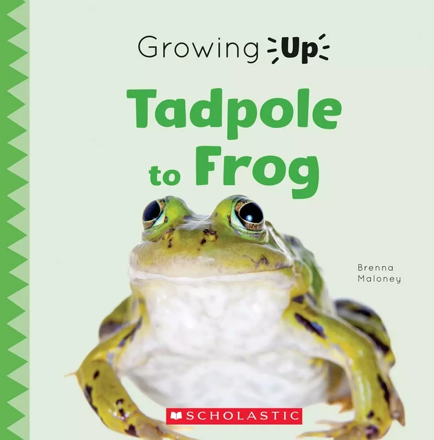 Tadpole to Frog (Growing Up) - Brenna Maloney - Scholastic Inc.