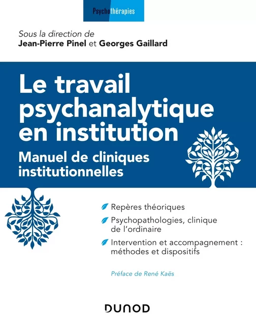 Le travail psychanalytique en institution - Jean-Pierre Pinel, Georges Gaillard - Dunod