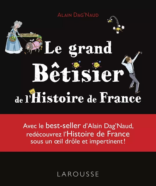 Le grand Bêtisier de l'Histoire de France - Alain Dag'Naud - Larousse